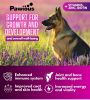 Dog Multivitamin Chewable with Glucosamine 16 in 1 Dog Vitamins and Supplements Senior and Puppy Multivitamin for Dogs Hip and Joint Support Health